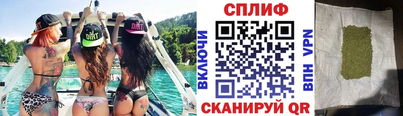 Конопля SATIVA & INDICA  Нахабино 
